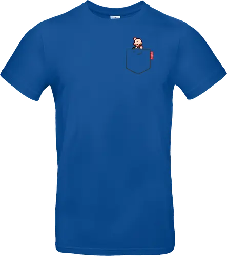 Plebsen (pocket)