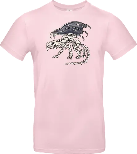 Kleine Helden - Knochendrache