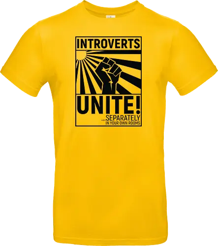 Introverts Unite