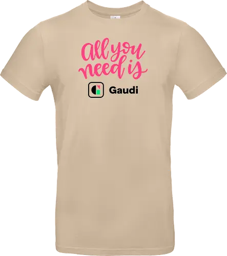 All you need is Gaudi