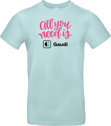 All you need is Gaudi
