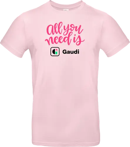 All you need is Gaudi