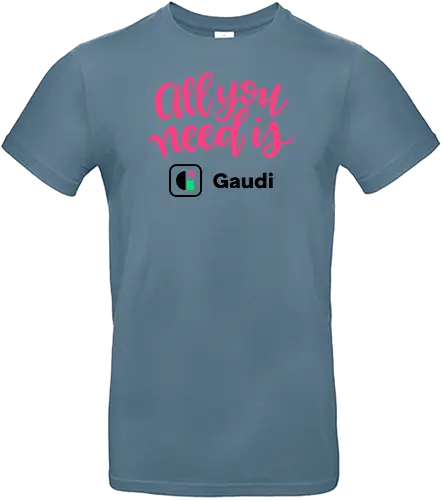 All you need is Gaudi - Standard T-Shirt