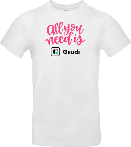 All you need is Gaudi