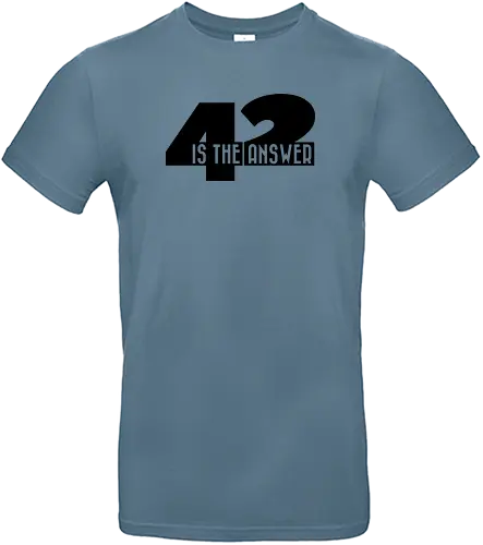 42 is the answer - 42, Answer, Question - Standard T-Shirt