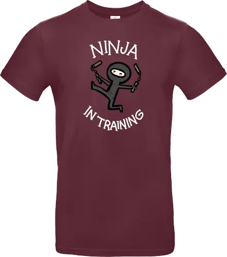 Ninja in Training