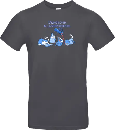 Dungeons and Laserpointers