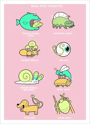 Know your Parasite