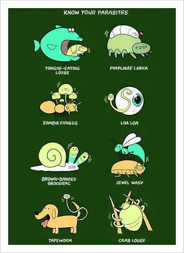 Know your Parasite
