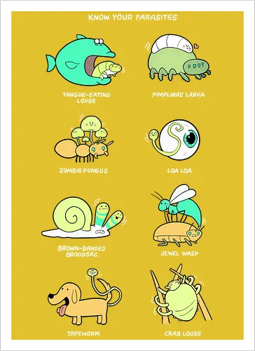 Know your Parasite