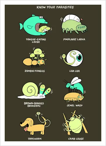 Know your Parasite