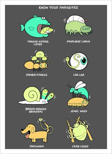 Know your Parasite