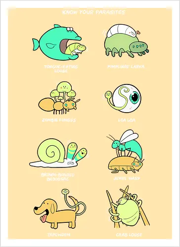 Know your Parasite