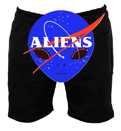 Aliens Space Program