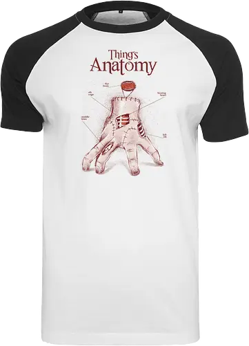Thing's Anatomy