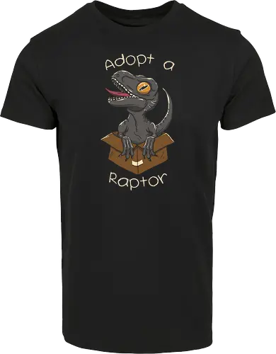 Adopt a raptor