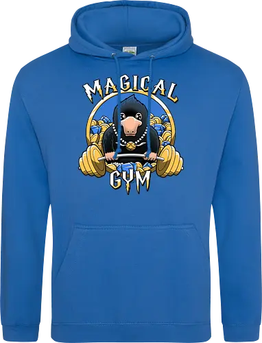 Magical Gym