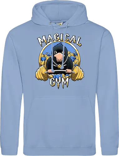 Magical Gym