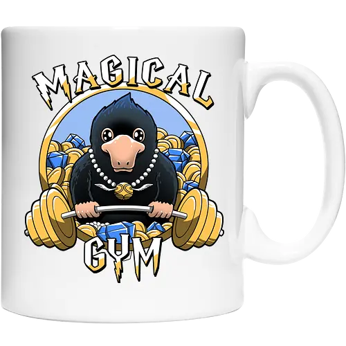 Magical Gym