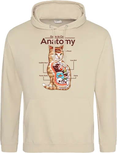 Anatomy of a Cat