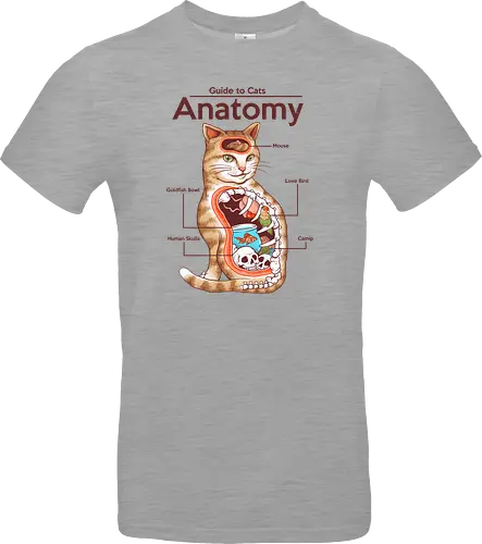 Anatomy of a Cat