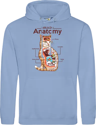 Anatomy of a Cat