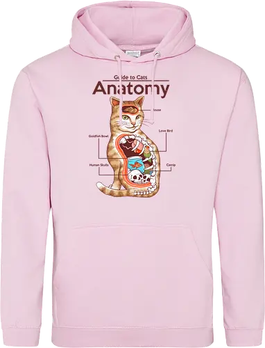 Anatomy of a Cat
