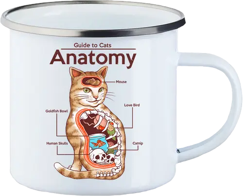 Anatomy of a Cat