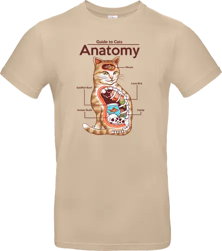 Anatomy of a Cat