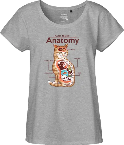 Anatomy of a Cat