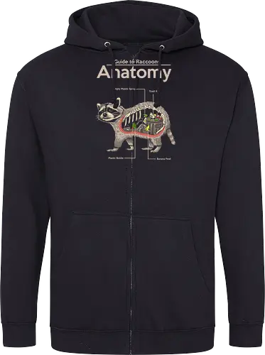 Anatomy of a Raccoon