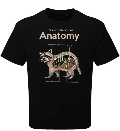 Anatomy of a Raccoon