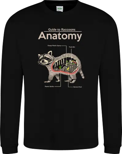 Anatomy of a Raccoon