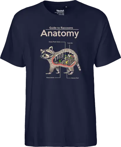 Anatomy of a Raccoon