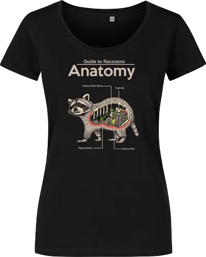 Anatomy of a Raccoon