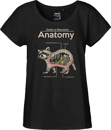 Anatomy of a Raccoon