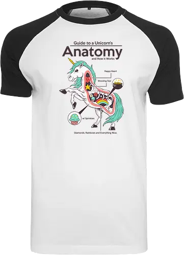 Anatomy of a Unicorn