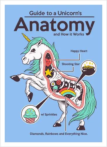 Anatomy of a Unicorn