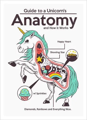 Anatomy of a Unicorn
