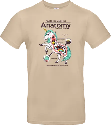Anatomy of a Unicorn