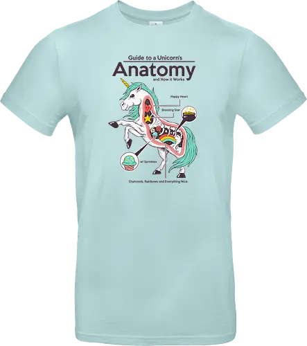 Anatomy of a Unicorn