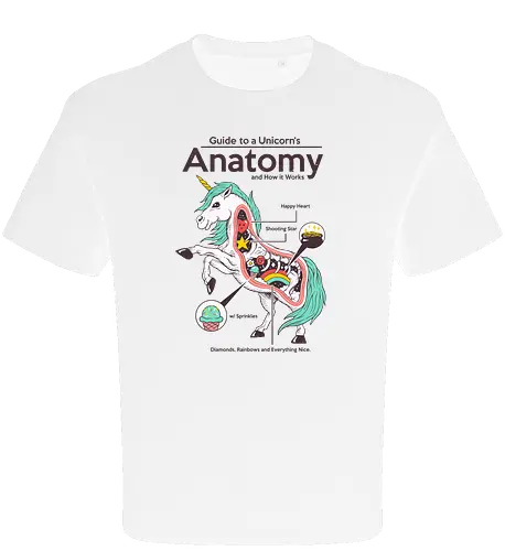 Anatomy of a Unicorn
