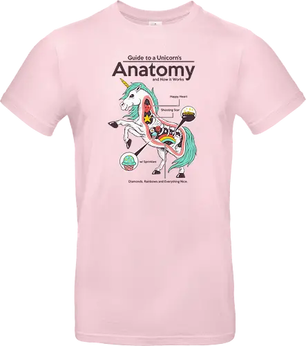Anatomy of a Unicorn