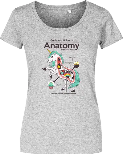 Anatomy of a Unicorn