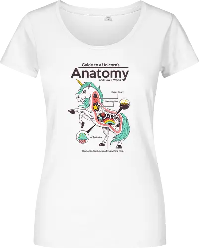 Anatomy of a Unicorn