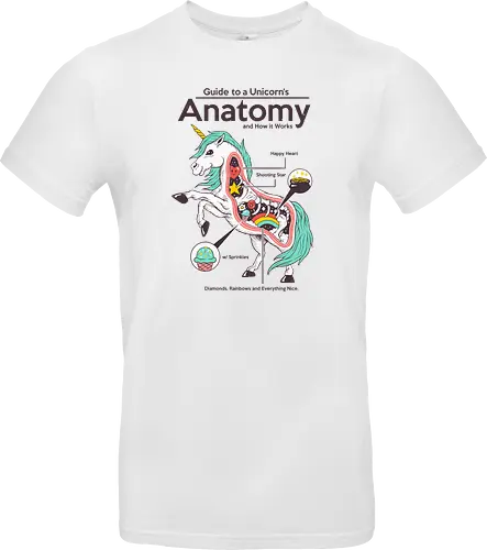 Anatomy of a Unicorn