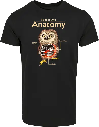 Anatomy of Owls