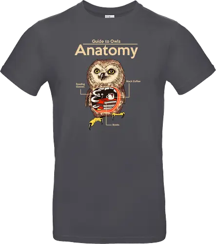 Anatomy of Owls