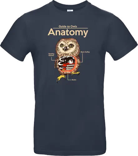 Anatomy of Owls