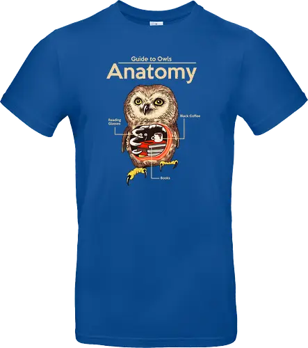 Anatomy of Owls